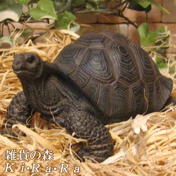 置物 動物 可愛い リアル カメの置物 Aタイプ かめオブジェ 亀