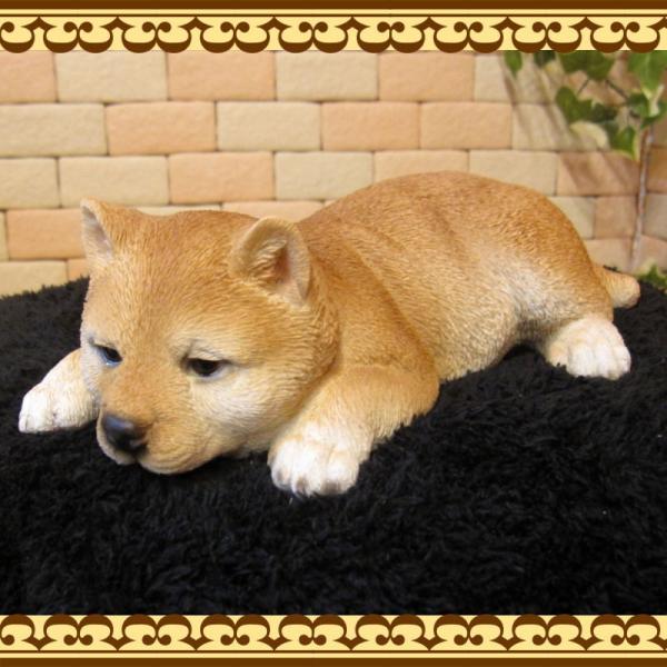 置物 動物 可愛い 犬の置物 柴犬 リアル ウトウト ねむねむ しばけん 子いぬのフィギュア シバイヌのオブジェ ガーデニング ベランダアート Buyee Buyee Japanese Proxy Service Buy From Japan Bot Online