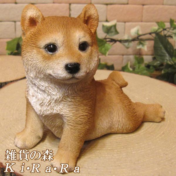 zakkakirara_11002402