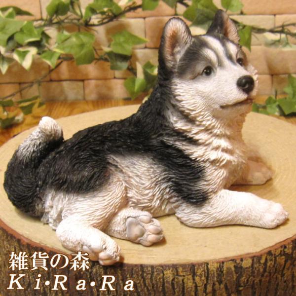 zakkakirara_11002448