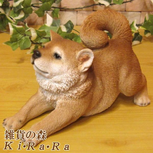 zakkakirara_111000279