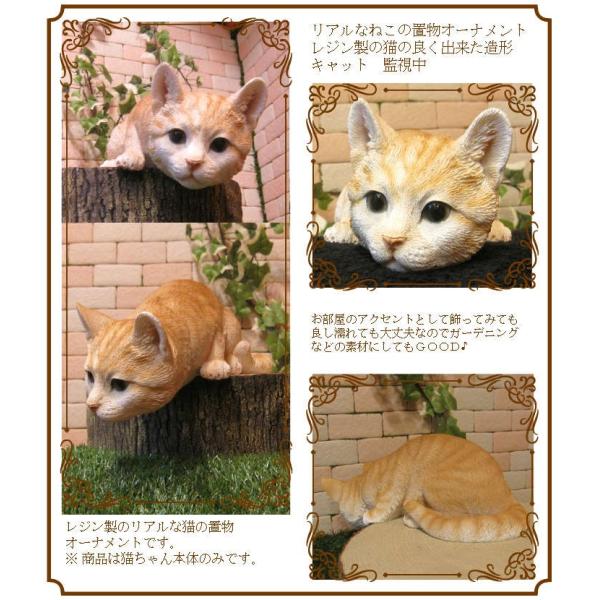 猫の置物 リアルな猫の置物 キャット監視中 チャトラ ネコのフィギア ねこのオブジェ ガーデニング 玄関先 陶器 Buyee Buyee Japanese Proxy Service Buy From Japan Bot Online