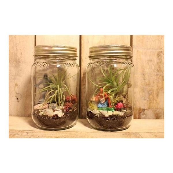 テラリウム ギフト キット 容器 材料 フィギュア エアプランツ エアープランツ Make Your Own Terrarium Kit Buyee Buyee 日本の通販商品 オークションの代理入札 代理購入