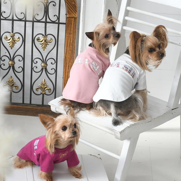    ybg hbOEFA ̕ TVc  | ANNA SUI AiEXC STVc 22s