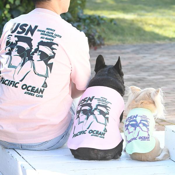    ybg hbOEFA ̕ ^Ngbv  | AVIREX ABbNX Z[[^Ngbv 22s