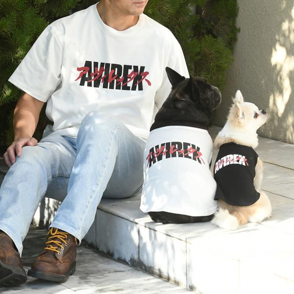    ybg hbOEFA ̕ ^Ngbv  | AVIREX ABbNX J^JiS^Ngbv 22s