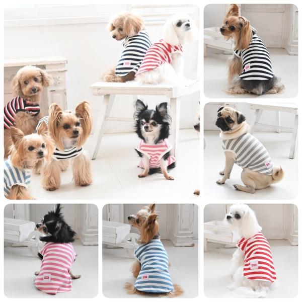    ybg hbOEFA ̕ ^Ngbv  | EDWIN GhEC GhEB hbOVc