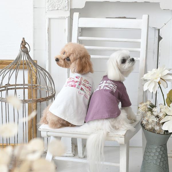犬 服 犬服 ペット服 ドッグウェア 犬の服 Tシャツ  | LAURA ASHLEY ユニオンプリントハイネックTシャツ 22s