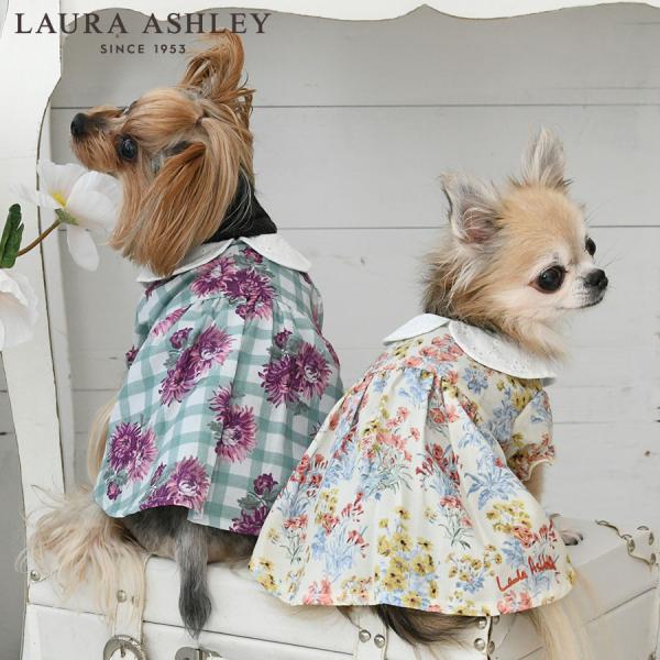 犬 服 犬服 ペット服 ドッグウェア 犬の服 ワンピース  | LAURA ASHLEY ローラアシュレイ コットンレース襟ワンピース 24s
