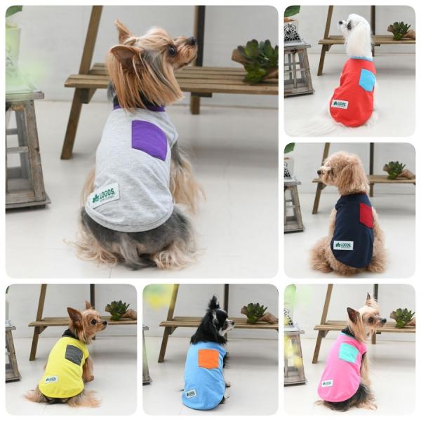    ybg hbOEFA ̕ ^Ngbv  | LOGOS  SX hbOVc