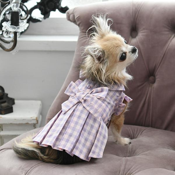 zakkanet_pot1035_1_d_20230203181027