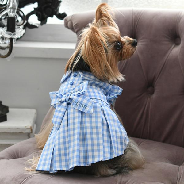 zakkanet_pot1035_2_d_20230203181028