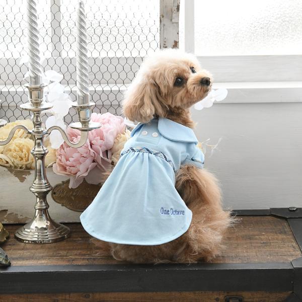 zakkanet_pot1038_1_d_20230203180347