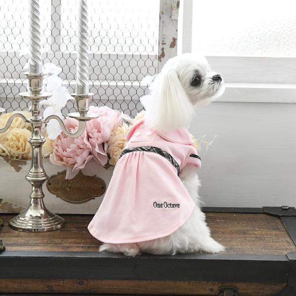 zakkanet_pot1038_2_d_20230203180348