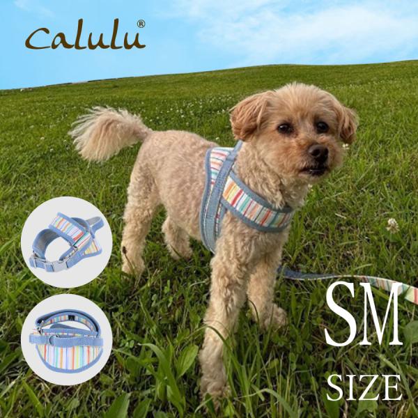 首輪・ハーネス・リード roco4.24 Calulu ハーネス 犬 胴輪 犬具 小型犬 | カルル ラクカチ