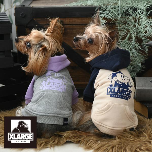 犬服 zakkanet_pxl1046