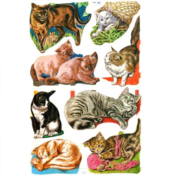 素　材：紙製※定形外郵便物可デザイン：動物 ネコ 猫 子猫ポーランドで誕生し、イギリスからヴィクトリアクラシックを送り出すMamelok(マメロック)ハイセンスで美しいクロモス。たくさんのネコたちが描かれています♪いろいろな表情のネコさんが...