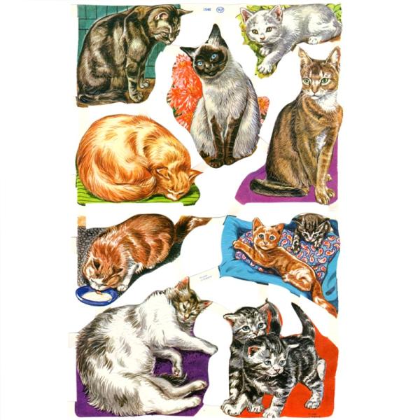 素　材：紙製※定形外郵便物可デザイン：動物 ネコ 猫 子猫ポーランドで誕生し、イギリスからヴィクトリアクラシックを送り出すMamelok(マメロック)ハイセンスで美しいクロモス。たくさんのネコたちが描かれています♪いろいろな表情のネコさんが...