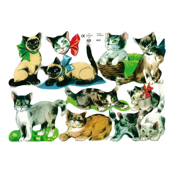 サイズ：23.5×16.5cm素　材：紙製※定形外郵便物可ブランド：マメロックデザイン：ネコ スカーフレトロなイラストがデザインされた、ハイセンスで美しいクロモス。コミックテイストな絵柄で様々なネコたちが描かれています。シャム猫やハチワレ、...