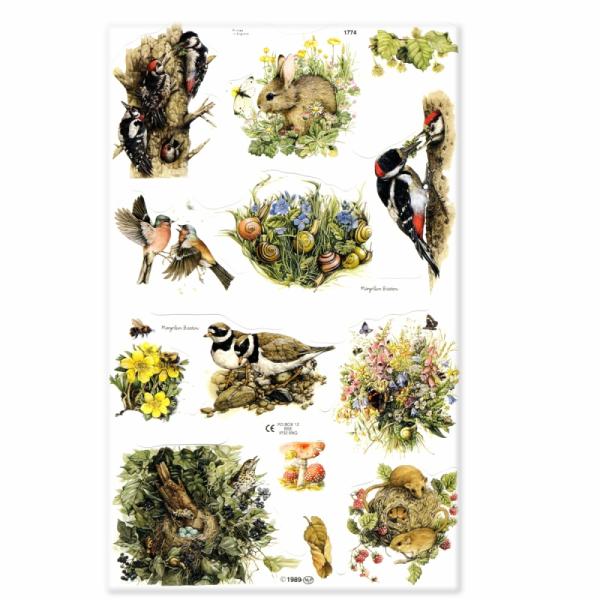 サイズ：約幅23.5×高さ16.0cm素　材：紙製※定形外郵便物OKブランド：マメロックデザイン：クロモス  動物 自然 ミツバチ 小鳥 卵 ウサギ カタツムリハイセンスで美しいクロモス。ミツバチやウサギ、ネズミにカタツムリまで、様々な生き...