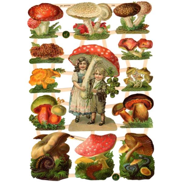 サイズ：約幅16.5×高さ23.5cm素　材：紙製※定形外郵便物可ブランド：マメロックデザイン：クロモス シート 少年 少女 子供 きのこハイセンスで美しいクロモス。色々なキノコとそのキノコを抱える少年と少女を描いています。エンボス加工なの...