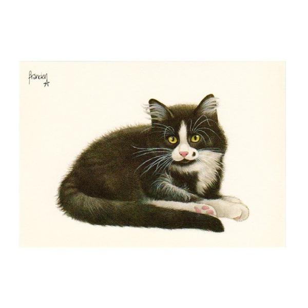 ART UNLIMITED ネコのポストカード （ほくろ猫） グリーティングカード
