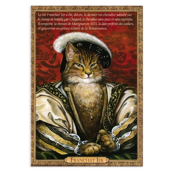 値下げ】洋書 The FRENCH CAT 初版 希少品 写真集 猫 フランス