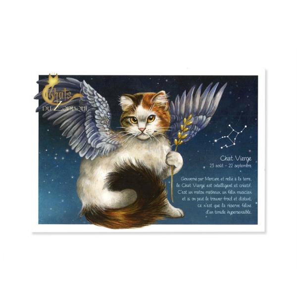 【値下げ】洋書 The FRENCH CAT　初版　希少品　写真集　猫　フランス 値下げ】洋書 The FRENCH CAT 初版 希少品 写真集 猫 フランス