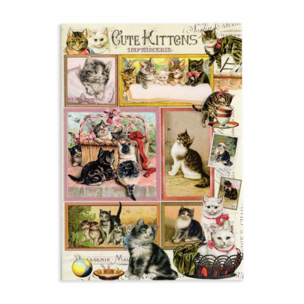 ドイツ製 キラキラグリッター 二つ折り グリーティングカード (子猫) 封筒付き