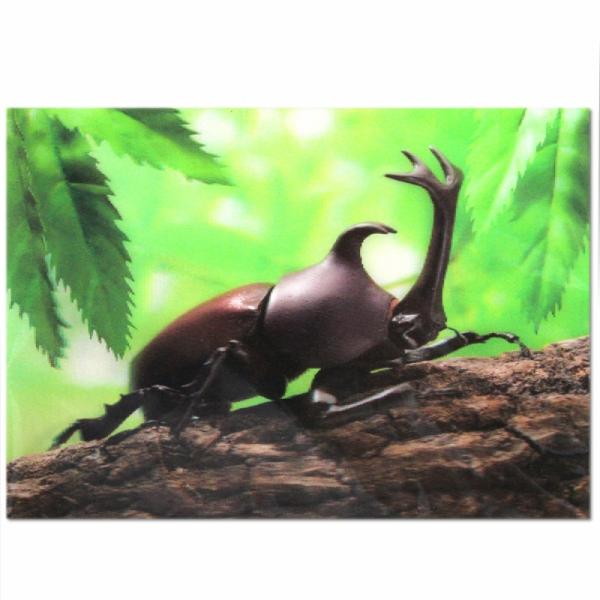 日本製　カブトムシの３Dポストカード