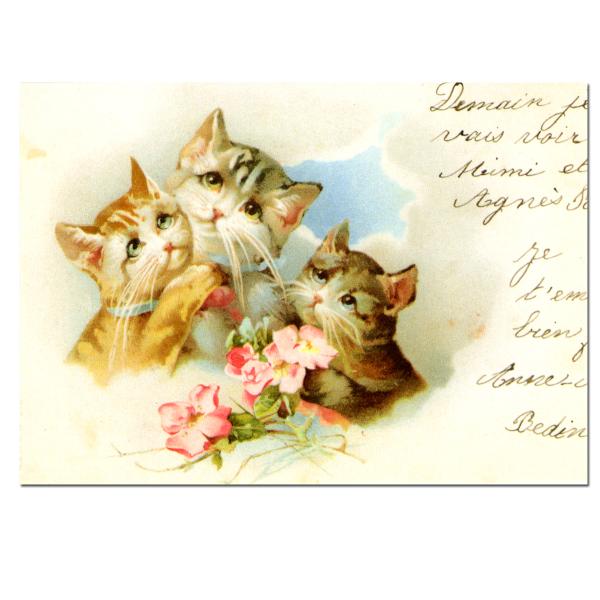 size約縦幅14.5×横幅9.5cm/紙製品※定形外郵便物OKデザイン：ピンク 猫 フラワー作者はヴィクトリアン時代に猫や子どもをモチーフに描いたヘレナ・マグワイアで動物たちの表情を擬人化させた可愛らしい絵が特徴的です。ポストカードに描か...