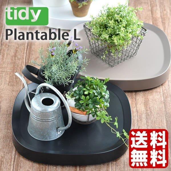 Aؔ  g[ eBfB LX^[  LX^[t v^[x[X v^uE[W tidy OT-668-101