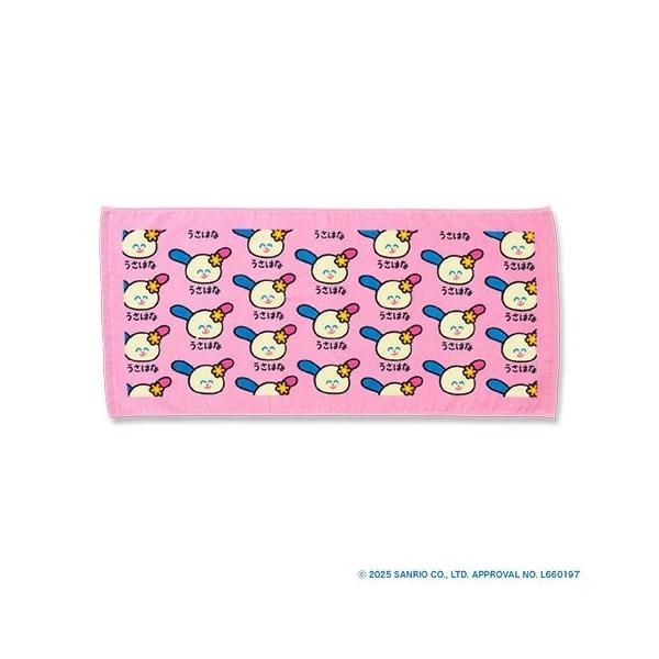 sanrio（サンリオ） おえかきさん×さんりおきゃらくたーず フェイス