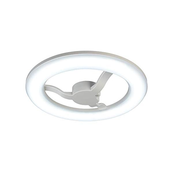 HotaluX(ホタルクス) LEDシーリングライト HLDC062086畳 41NidZvgy2L.jpg