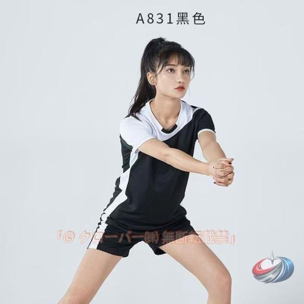 至学館大学　バレーボールユニフォーム上下セット　Lサイズ バレーボール ユニフォーム 背番号 アイロン 女子 バレーボールウエア