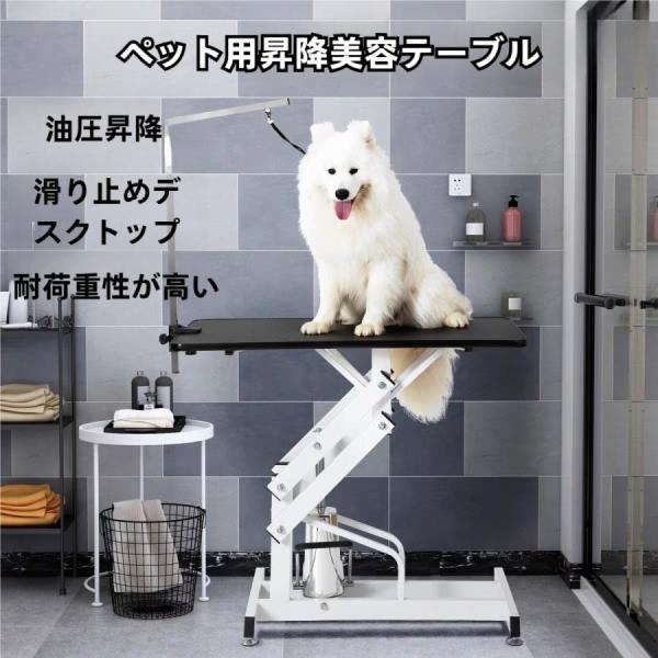 zakkaya-piekuru_p213656161a2c7