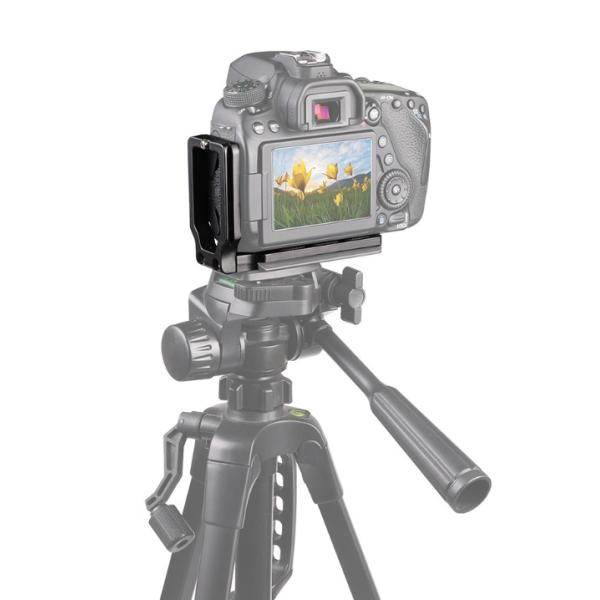 zakkayacom_dar-camelplate02