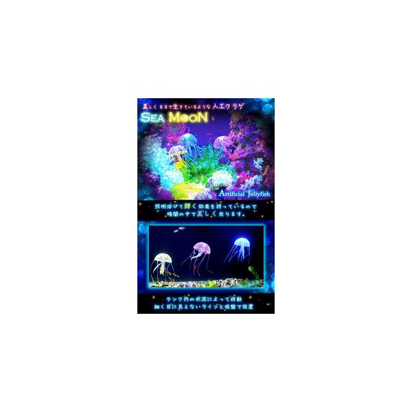 C ɂ  Ȃ zՂł  ANAE NQ VR lH   Mы V[[@3CZbg TEC-SMND ([֔Es)