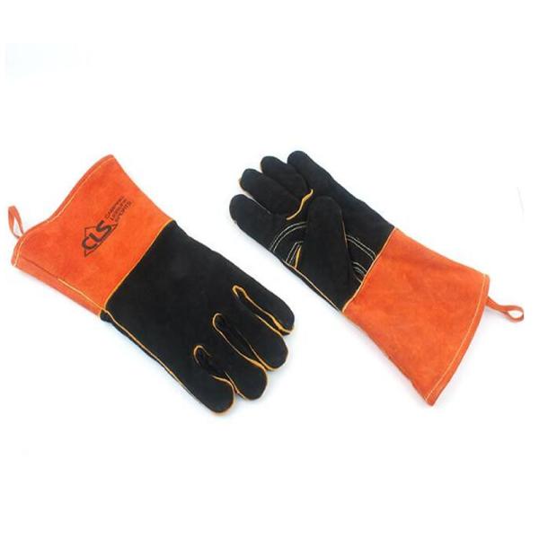 ϔMO[u ܁@v @ Ώ @ Lv  R h AEghA@o[xL[@tecc-tainetu03