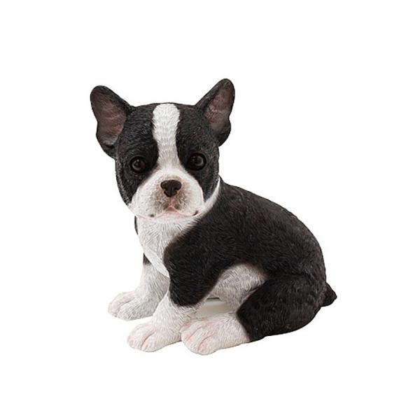 チアフルフレンズ フレンチブルドックのエース ガーデン オーナメント 動物 犬 ガーデニング オーナメント ガーデン 置物 オブジェ かわいい Buyee Buyee 提供一站式最全面最專業現地yahoo Japan拍賣代bid代拍代購服務 Bot Online