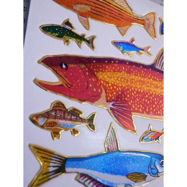 キラキラシール/魚シール 多分、食べられる魚 再入荷！AT20-1-16 