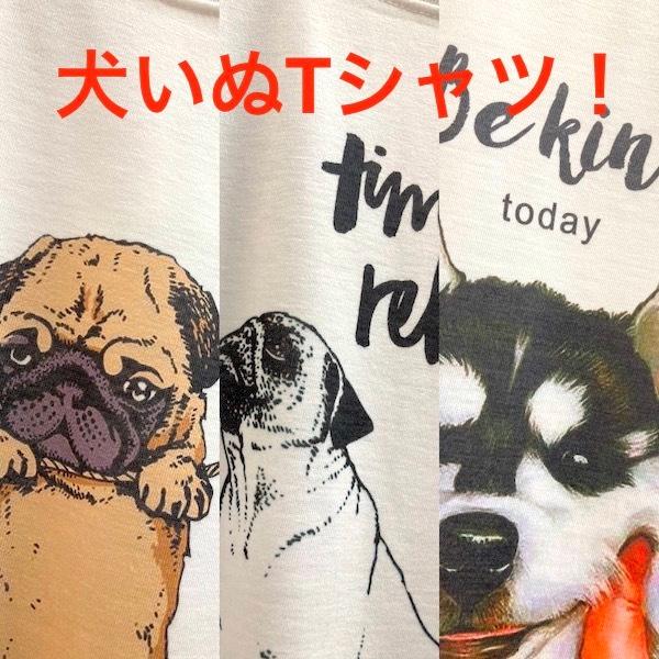 犬 シャツ みんな探してる人気モノ 犬 シャツ メンズファッション