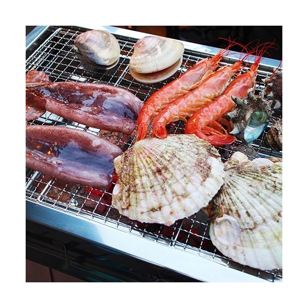 大阪市中央卸売市場直送 鮮魚ｂｂｑセット 魚 さかな セット 詰め合せ 鮮魚 贈答 ギフト バーベキュー Sg2 ざこばの朝市オンラインショップ 通販 Yahoo ショッピング