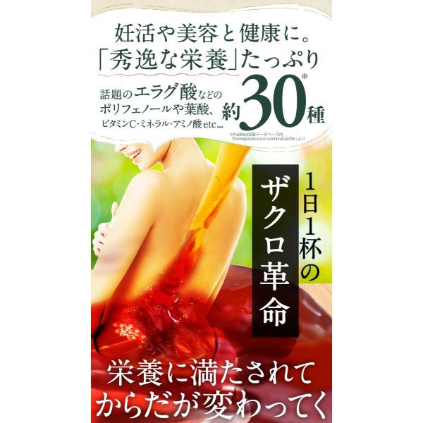 ザクロのしずく 500ml 約650g 12本 ザクロ屋 濃縮 ざくろジュース 美味しい ザクロ酢 ザクロジュース 国内工場充填 12本セット送料無料 ザクロ酢 妊娠 ファスティング 回復食
