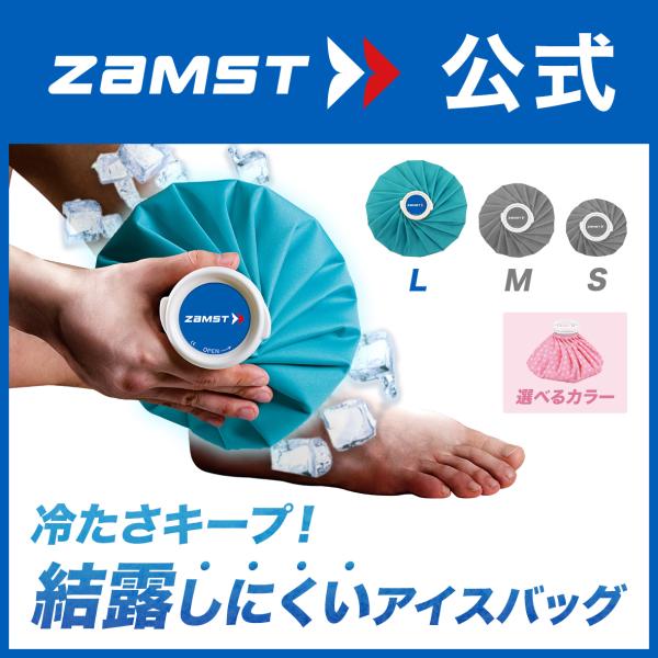 ☆アイシング 氷嚢 アイスバッグ 1個 Lサイズ 楽天市場】アイシングバッグ 大きめサイズ 大きな氷も入る 大