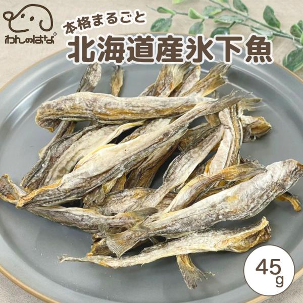 わんのはな 本格まるごと北海道産氷下魚(こまい) スタンダードサイズ