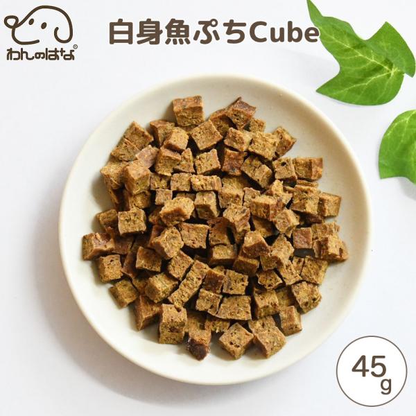 わんのはな 身魚ぷちcube スタンダードサイズ