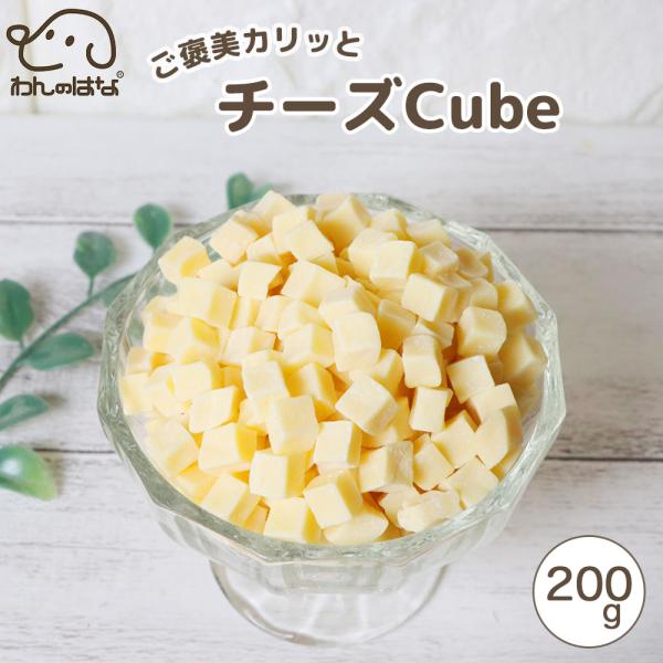 わんのはな ご褒美カリっとチーズcube 大家族応援サイズ