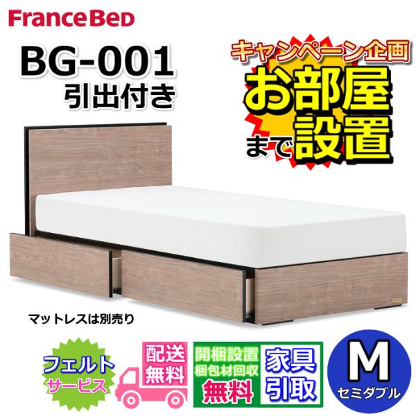 フランスベッド BG-001 DR セミダブル 【開梱組み立て設置無料 フランスベッド BG-001 DR セミダブル 【開梱組み立て設置無料