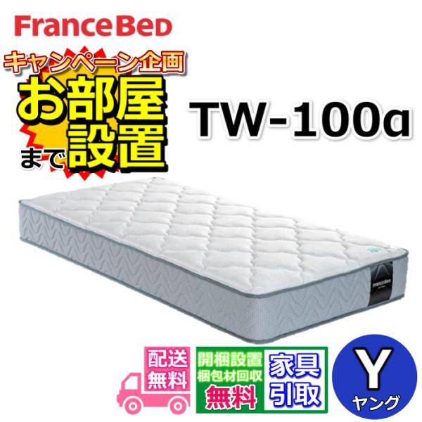 フランスベッド（FRANCEBED） 【開梱設置無料】フランスベッド